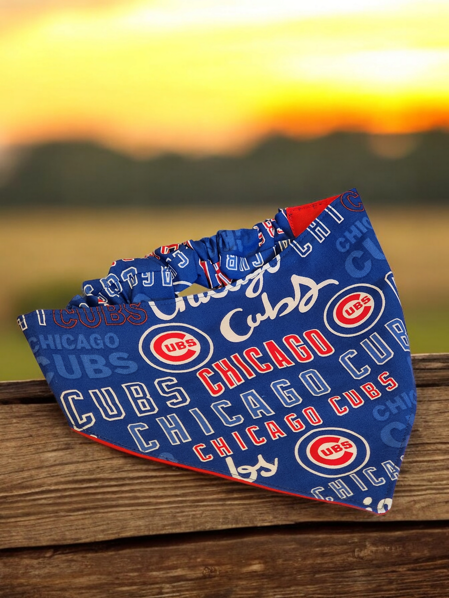 Cubs Pet Bandana